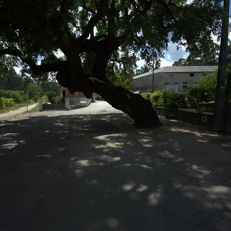 Quinta Vista Do Vale Prova (Viseu)