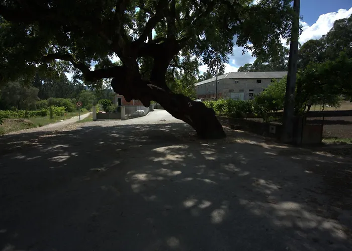 Quinta Vista Do Vale Prova (Viseu)